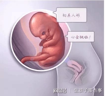 供精代怀价格供卵